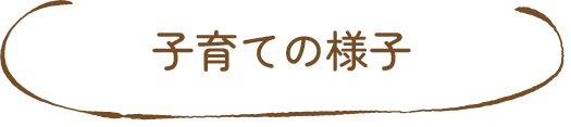 子育ての様子